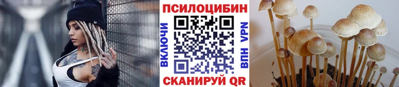 Псилоцибиновые грибы Magic Shrooms  Болгар 